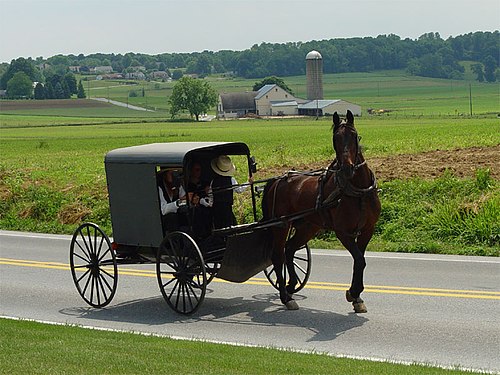 Old Order Amish